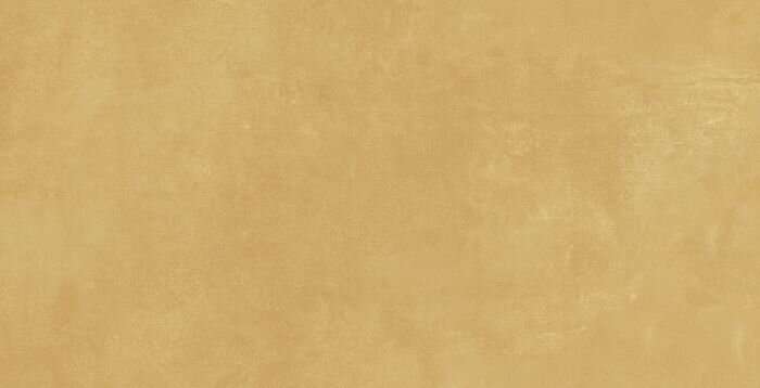 Mustard 40x80 (800x400)