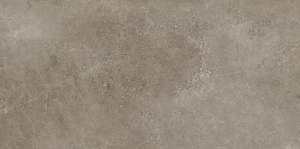 Light Grey 60x120 Ret (1200x600)