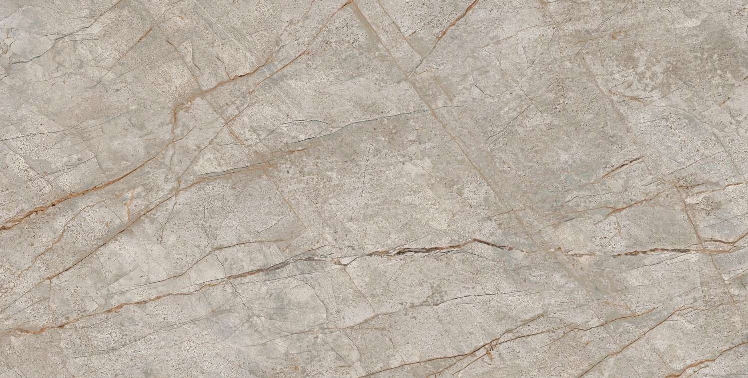 Silver Root 80x160 Lapp (1600x800)