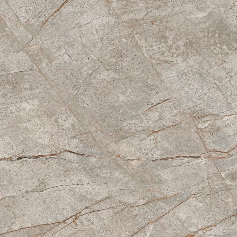 Silver Root Rett 80x80 (800x800)