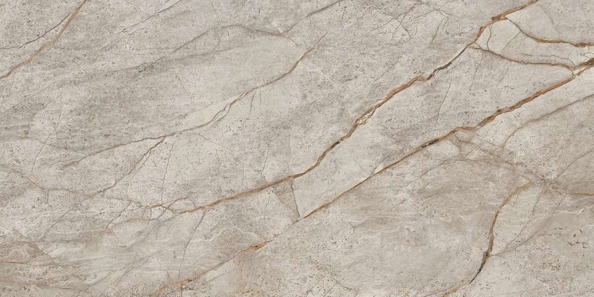 Silver Root Rett 60x120 Lapp (1200x600)