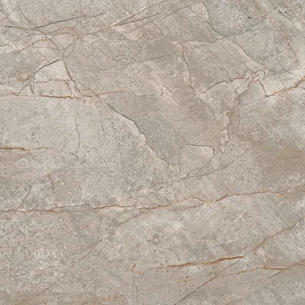 Silver Root 60x60 Lapp (600x600)