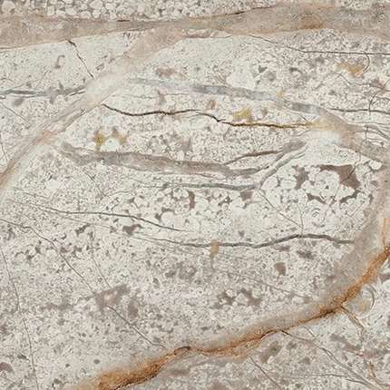 Атлас Конкорд Empire Silver Root Bottone Lap