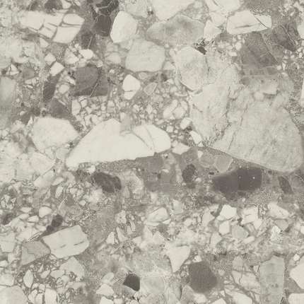 Атлас Конкорд Forte Dei Marmi Ceppo Apuano Pearl 80x80 Lapp