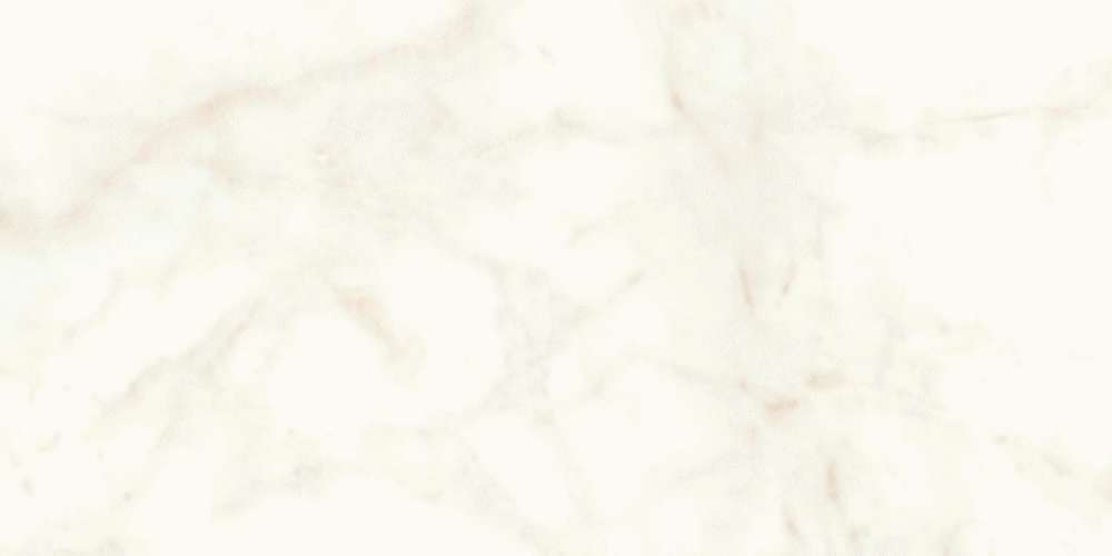 Calacatta Delicato 60x120 Lappato (1200x600)