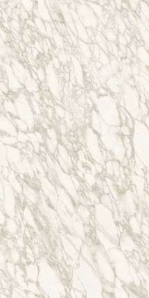 Атлас Конкорд (Италия) Atlas Plan Calacatta Royal Polished - 12mm ST