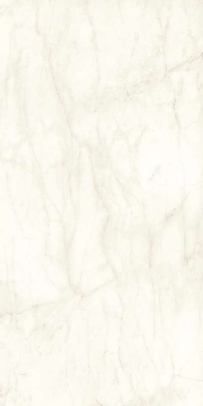 Calacatta Delicato Silk - 12 mm ST (1620x3240)