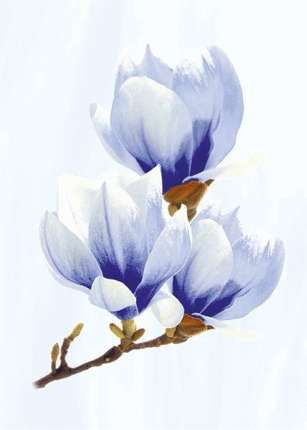 Аксима Агата Blue decor