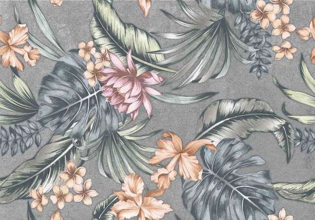 Аксима Дорадо D1