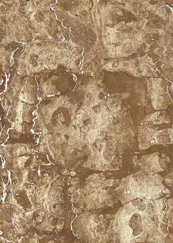 Beige dark (250x350)