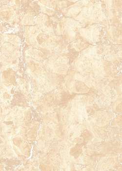 Beige light (250x350)