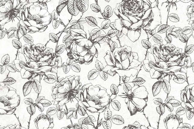 Аксима Мерида Вставка D