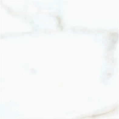 Аксима Сопрано Светлая 20х20