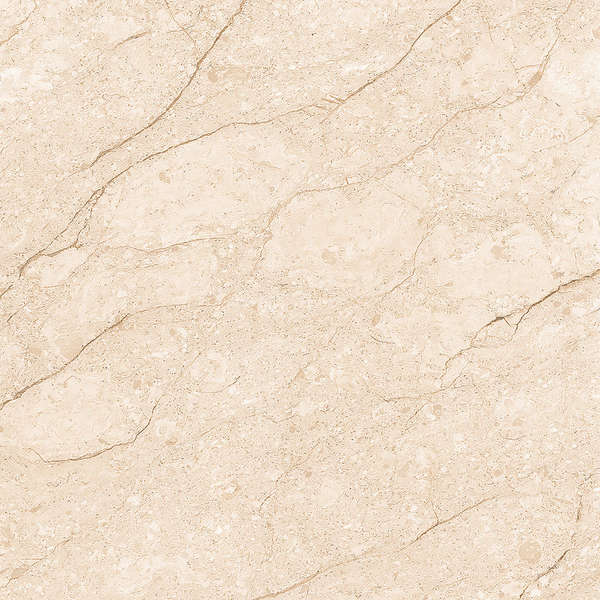 Ivory 60x60 Matt (600x600)