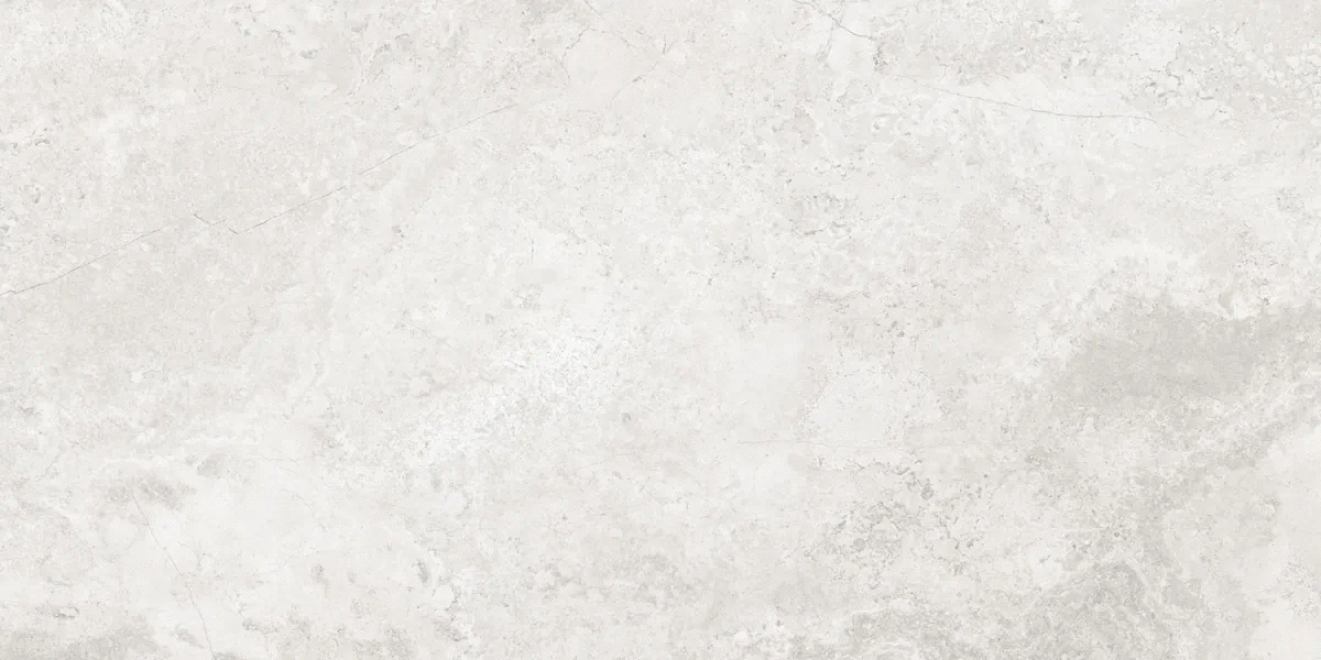 Silver Matt 60х120 (1200x600)