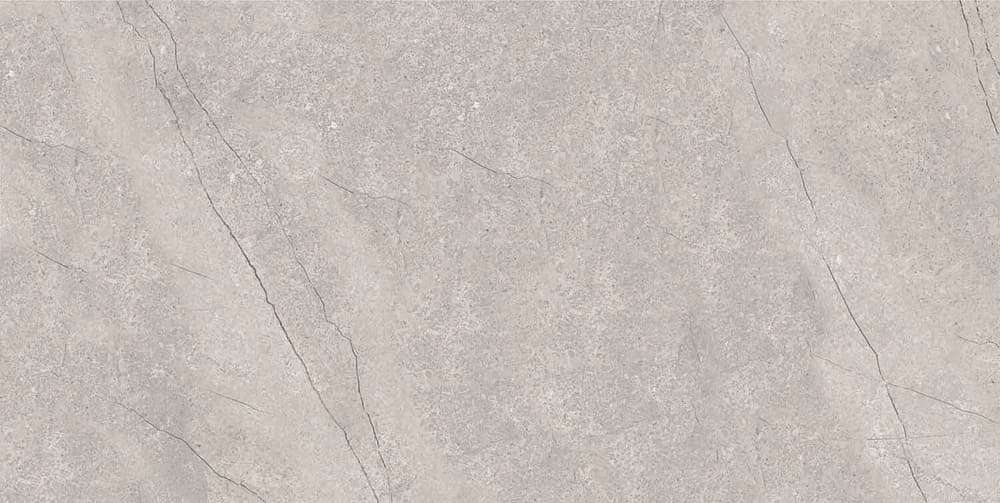 Grey 60x120 Matt (1200x600)