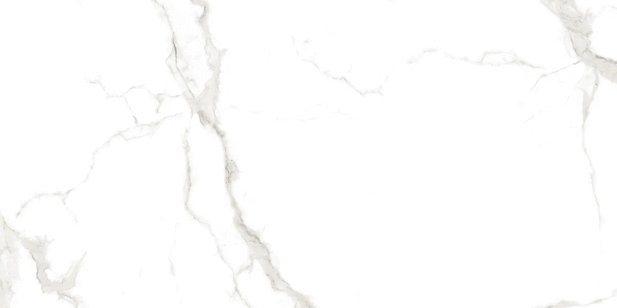 Grey Glossy 60х120 (1200x600)