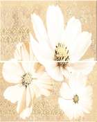 Beige Floret комплект из 2 пл (402x505)