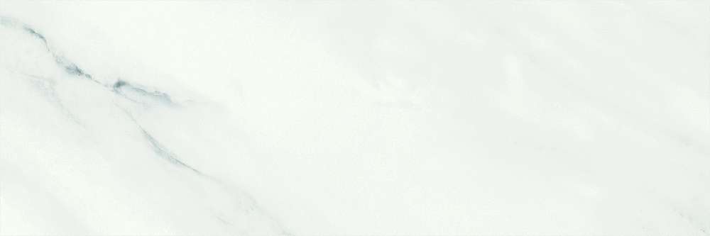 White rect. (1000x333)