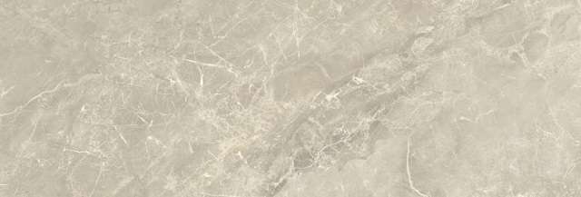 Taupe Rect (1200x400)