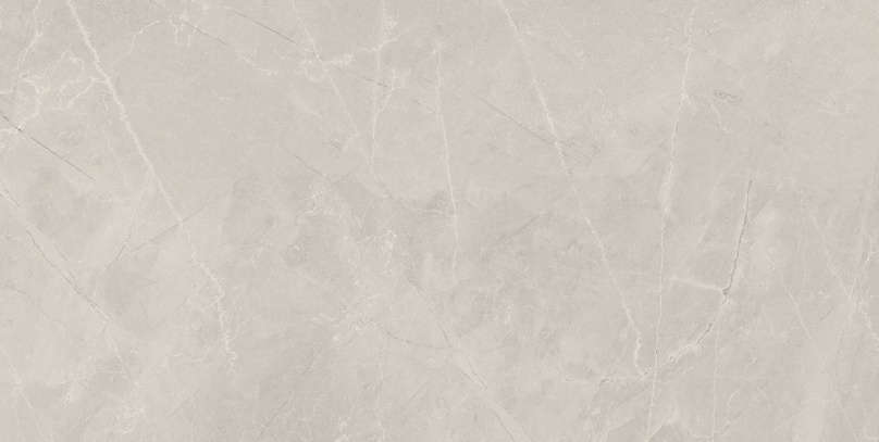 Silver Natural 60x120 (1200x600)