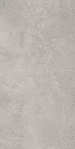 Bayona Silver Natural (1200x2400)