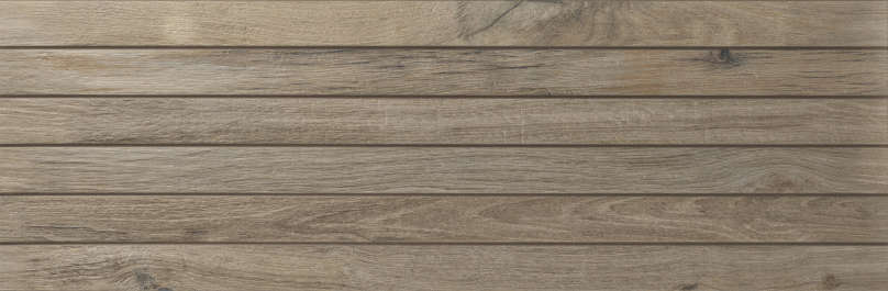 Strip Elm (1000x333)