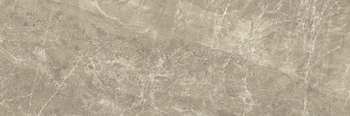 Taupe (1000x333)