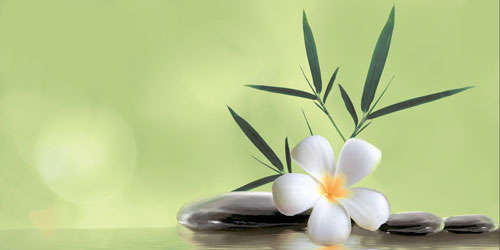 Белани Ливадия Цветок