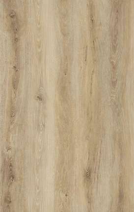 Betta SPC Studio Rigid S206 Дуб Паола