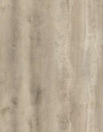 Betta SPC Studio Rigid S207 Дуб Кантелло