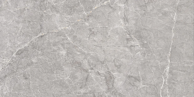 Black Rhino Concrete Ferna Cinerea Carving 60х120