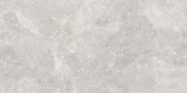 Black Rhino Concrete Lubin Dove Shape Seed 60х120