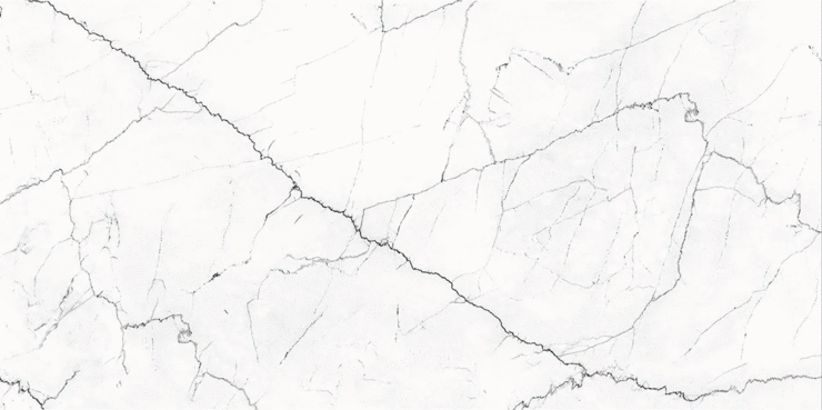 Black Rhino Marble Verminus Griseum Carving 60х120