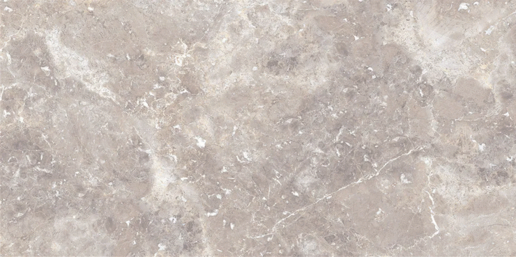 Black Rhino Marble Brasilia Griseum Carving 60х120