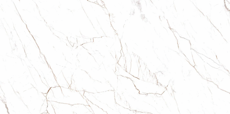 Black Rhino Marble Anzium Albus Carving 60х120