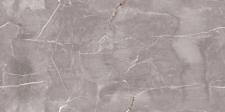 Black Rhino Marble Legacium Cinerea Glossy Ink 60х120