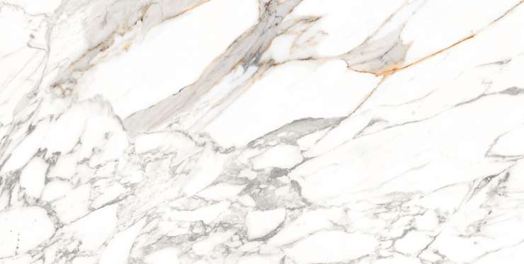 Блюзон Scot White White B