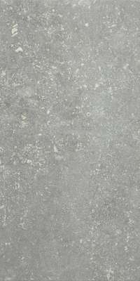 Ardenne Grigio 20x40 (200x400)