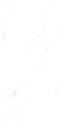 CSG Полированный и Матовый 120x60 MT12101