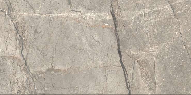 Цезарь Anima Futura Amazing Silver Liscio Matt 60x120