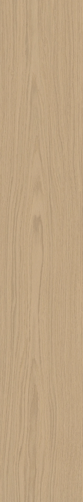 AILG Керамогранит Caesar Pure Sheer Matt RT R10 9mm 20x120 (200x1200)