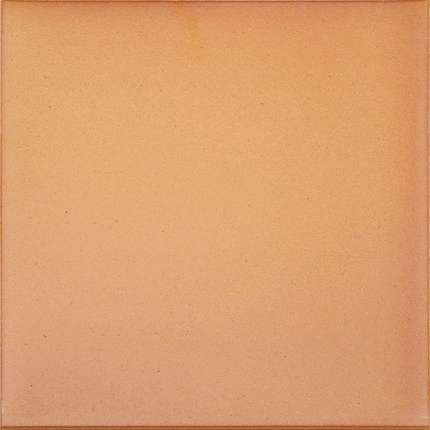 Canada Gres Natura 016 Terra 24.4x24.4