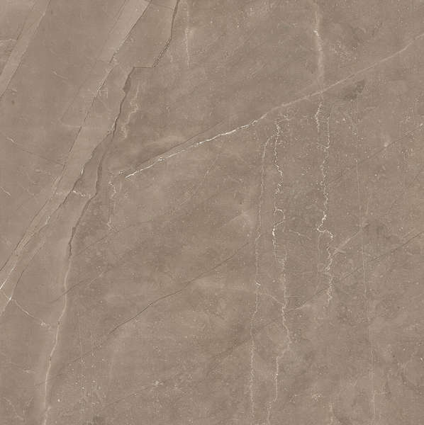 Pulpis grigio scuro POL 60x60 полированный (600x600)