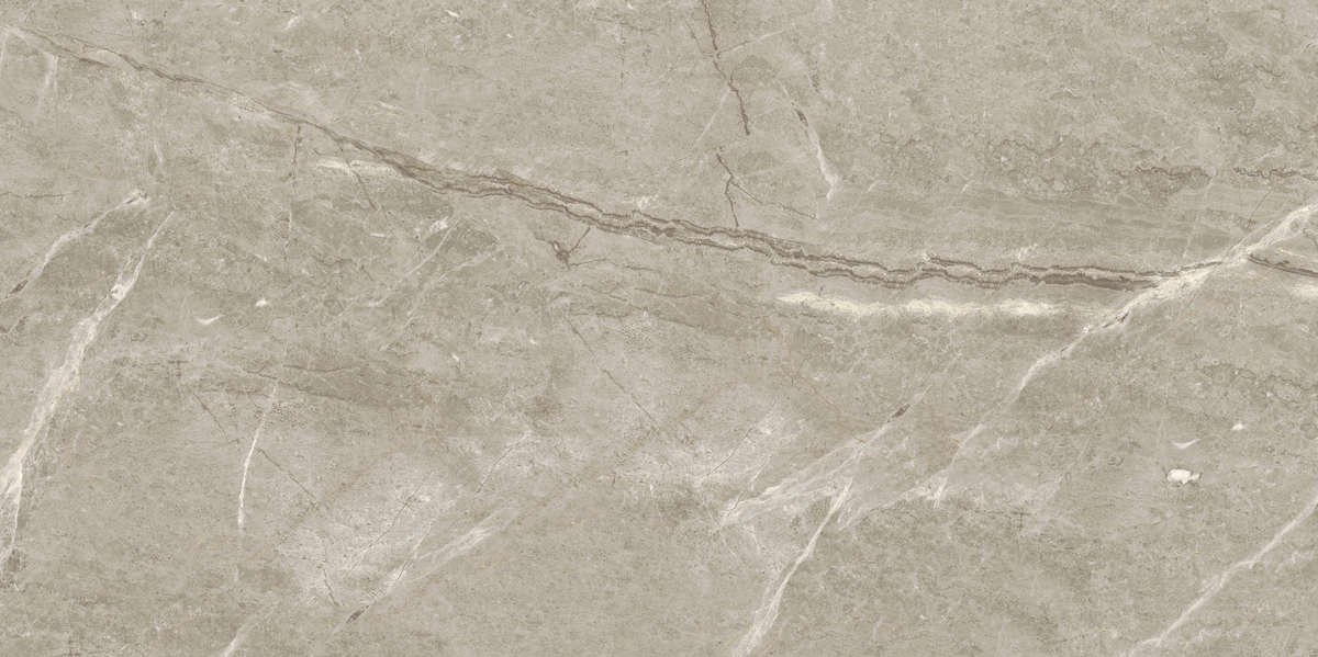 Breccia silver venato 
POL 120x60 5693 (1200x600)