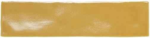 Кармен Dynamic Mostaza