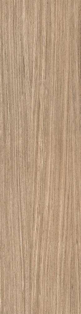 Plank 01 Strutturato 10mm 30x120 Ret (300x1200)