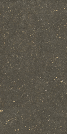 Casa Dolce Casa Rinascenza Arena Platino Matte 6mm 60x120