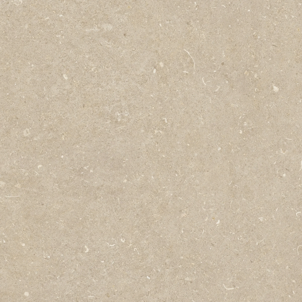 785485 Керамогранит Casa Dolce Casa Rinascenza Arena Conchiglia Matte 60x60 (600x600)