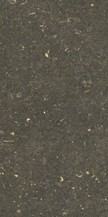 Casa Dolce Casa Rinascenza Arena Platino Matte 30x60